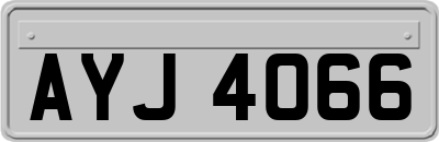 AYJ4066