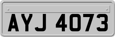 AYJ4073