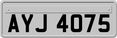 AYJ4075