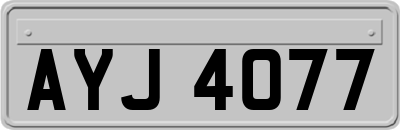 AYJ4077