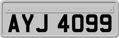 AYJ4099