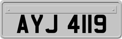 AYJ4119