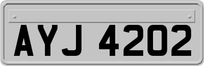 AYJ4202