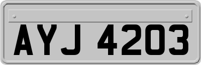 AYJ4203