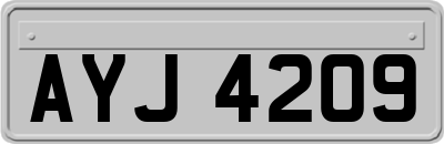 AYJ4209