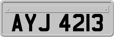AYJ4213