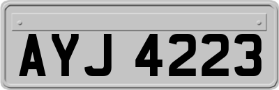 AYJ4223
