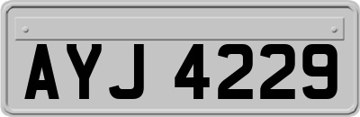 AYJ4229