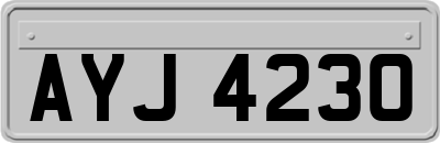 AYJ4230