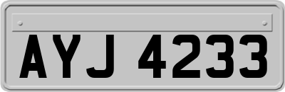 AYJ4233