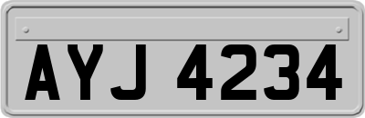 AYJ4234