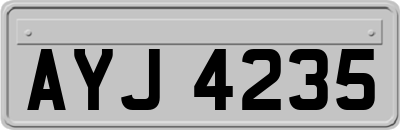 AYJ4235