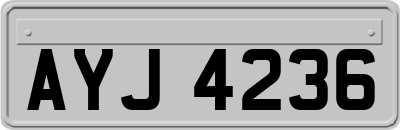 AYJ4236
