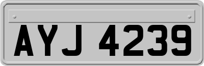 AYJ4239