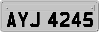 AYJ4245