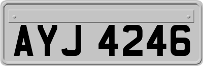 AYJ4246