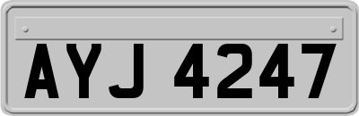 AYJ4247