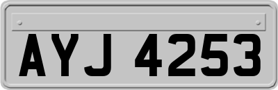 AYJ4253