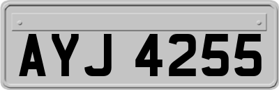 AYJ4255