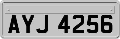AYJ4256