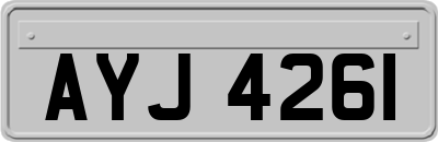 AYJ4261