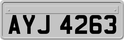 AYJ4263