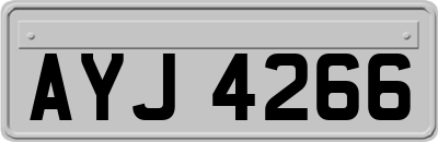 AYJ4266