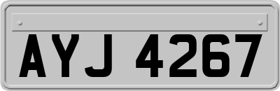 AYJ4267