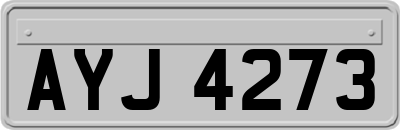 AYJ4273