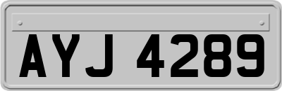 AYJ4289