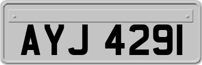 AYJ4291