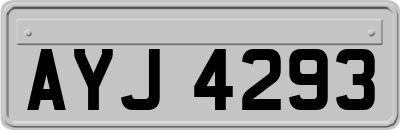 AYJ4293