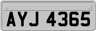 AYJ4365