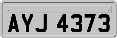 AYJ4373