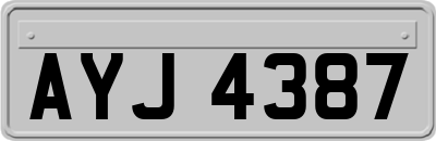 AYJ4387