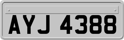 AYJ4388