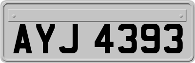 AYJ4393