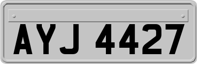 AYJ4427