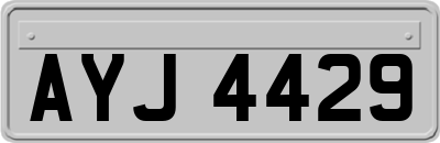 AYJ4429