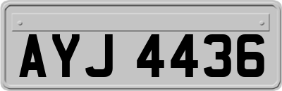 AYJ4436