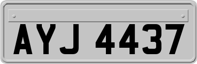 AYJ4437