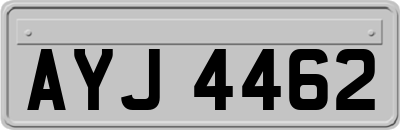 AYJ4462