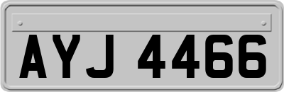 AYJ4466