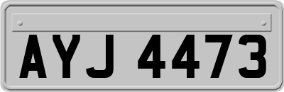 AYJ4473