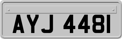 AYJ4481
