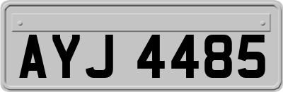 AYJ4485