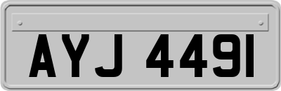 AYJ4491