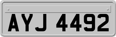 AYJ4492