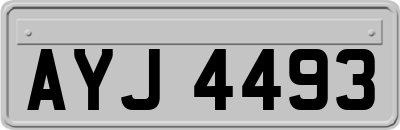 AYJ4493
