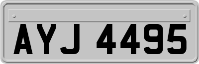 AYJ4495